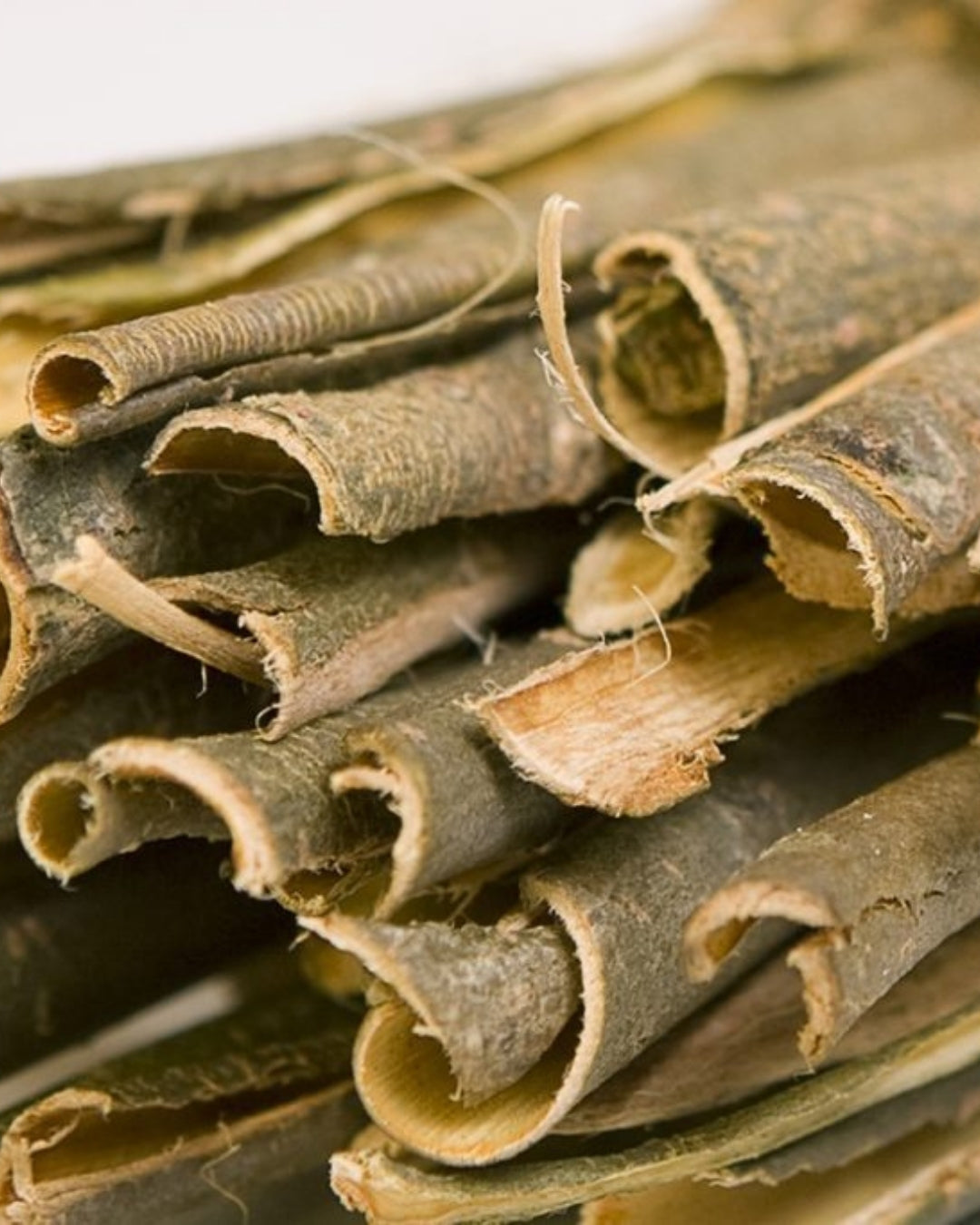 Willow Bark